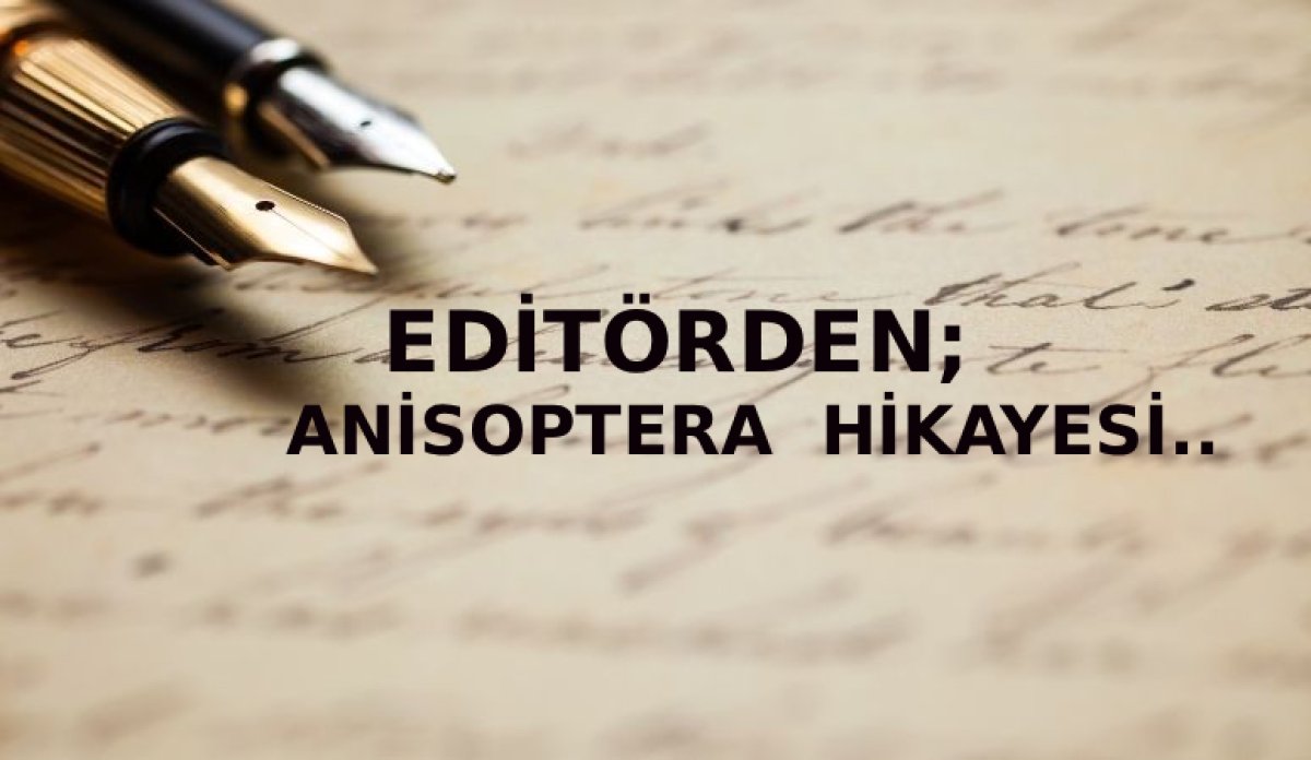 ANİSOPTERA HİKÂYESİ..