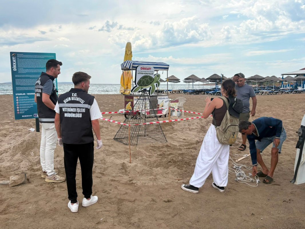 DİDİM BELEDİYESİ'NİN ZAMANIN DA MÜDAHALESİ CARETTA CARETTAYI KURTARDI..