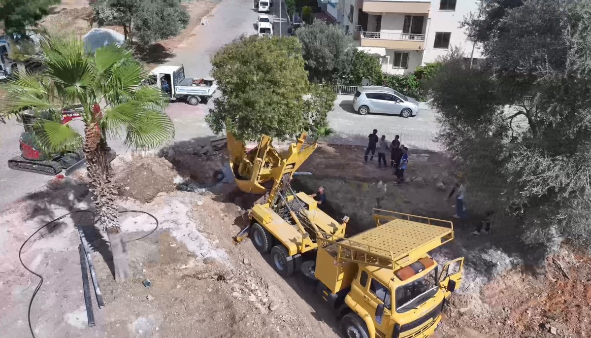 DİDİM BELEDİYESİ'NİN AĞAÇ HASSASİYETİ..