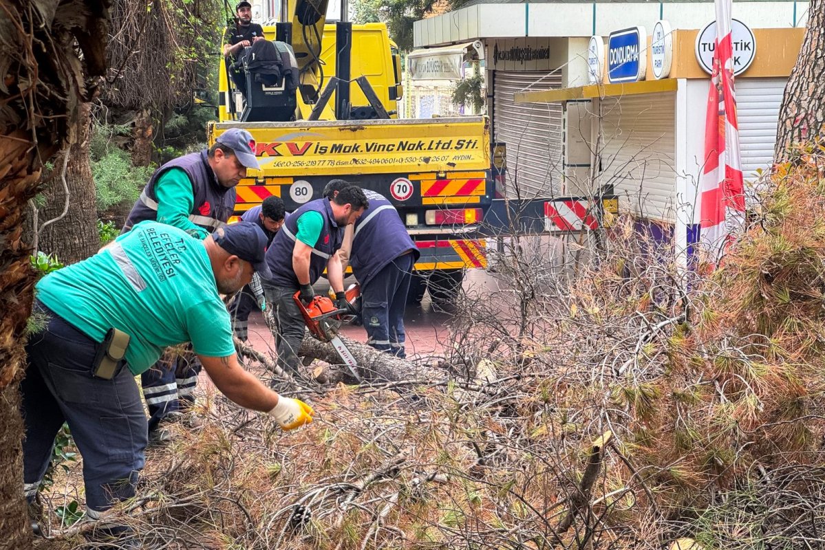 EFELER'DE PARKLAR DAHA GÜVENLİ HALE GELİYOR